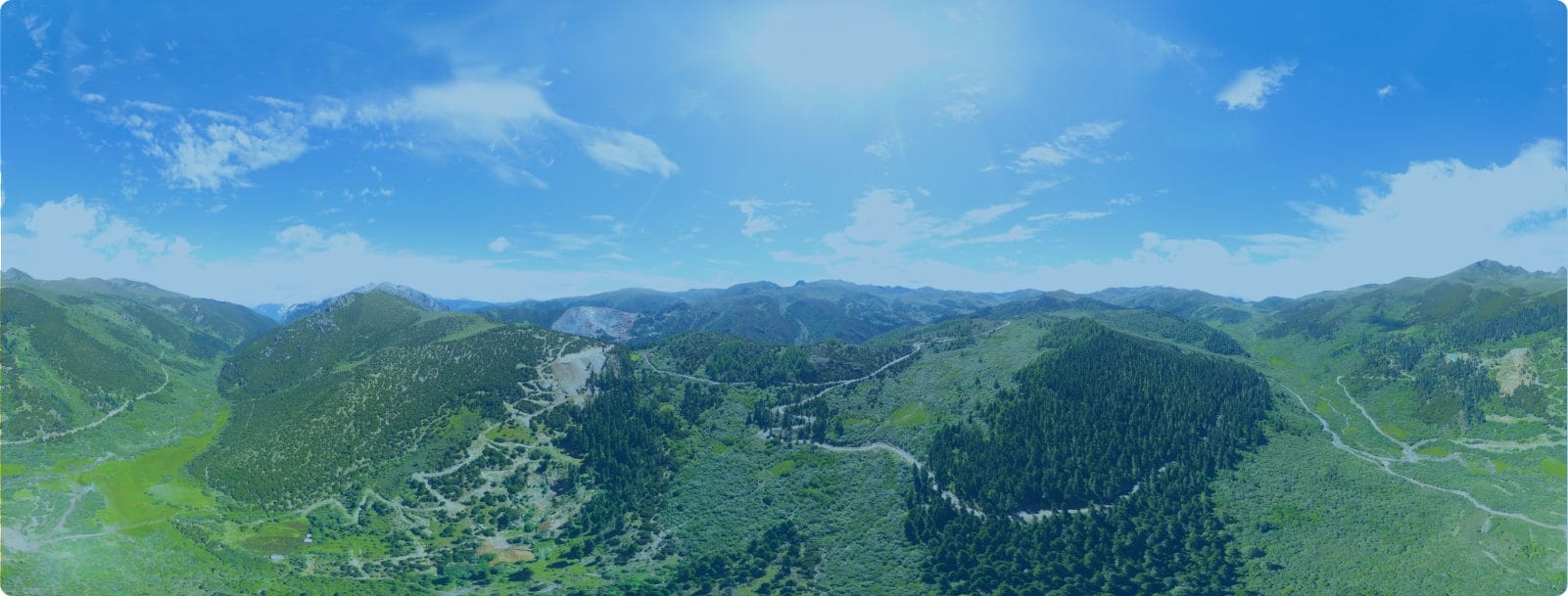 ��ҵ����